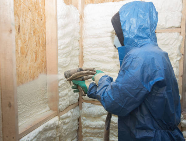 Types of Insulation We Offer in Louisa, KY